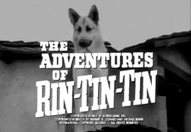 The Adventures of Rin-Tin-Tin