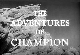 The Adventures of Champion (Champion the Wonder Horse)