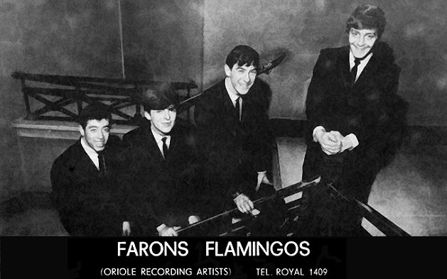 Faron's Flamingos