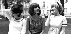 Ladybirds 1964 - Larger Image